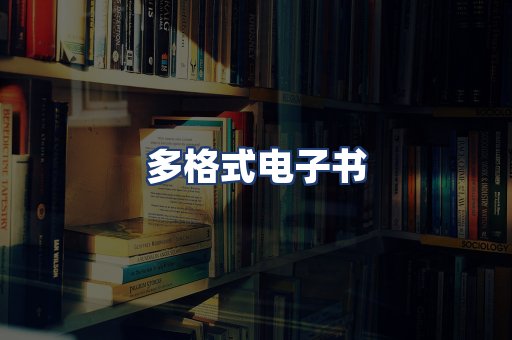 多格式电子书